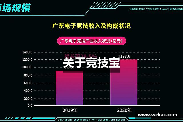 关于竞技宝